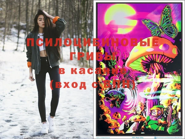 mix Армянск