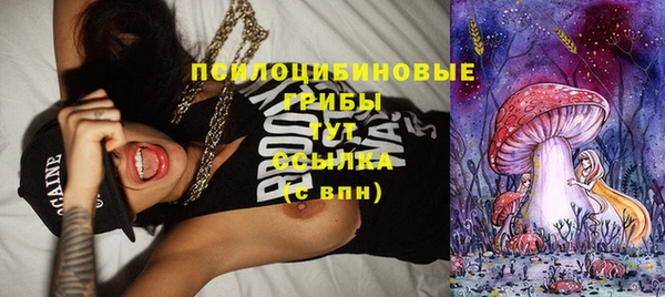прущий лед Арсеньев